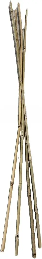- Bamboo Garden Stakes - Bambo Sticks, Bamboo Plant Stakes for Outdoor Plants, Plant Support Stakes for Indoor Plants (7 Foot, 1