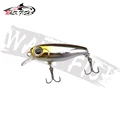 H 8