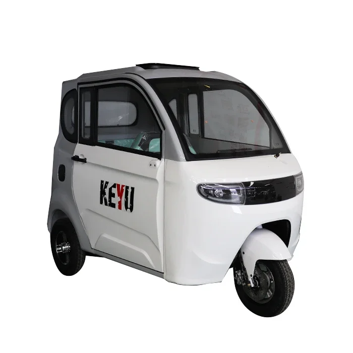 New Adult Closed Electric Passenger, Cargo, Three Wheels, Motorized, Electric Trike, Vehicle,