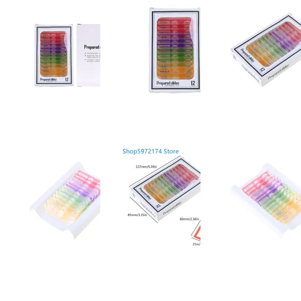 Y3NB Experiment Specimens Fine Sample Animals Insect Plant Microscope Prepared Slides