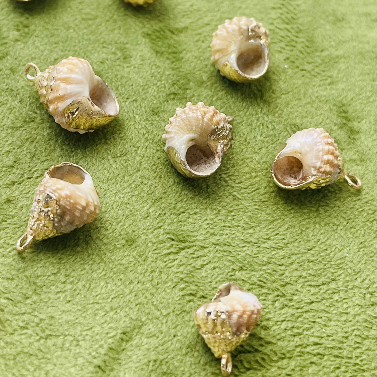 10pcs Exquisite Natural Freshwater Conch Shell Charms 10-15mm Shells Pendants For Jewelry Making DIY Women Necklaces Earrings
