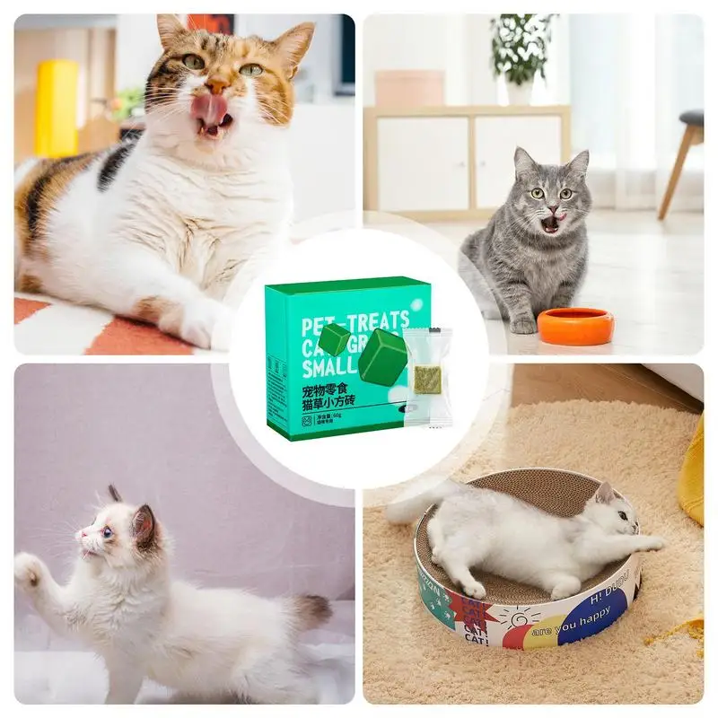 Snack per erba per gatti 60g Liofilizzato Dentizione per animali domestici Erba naturale Snack per gatto Catnip Gattino Cura dei denti Cibo commestibile Giocattoli per capelli