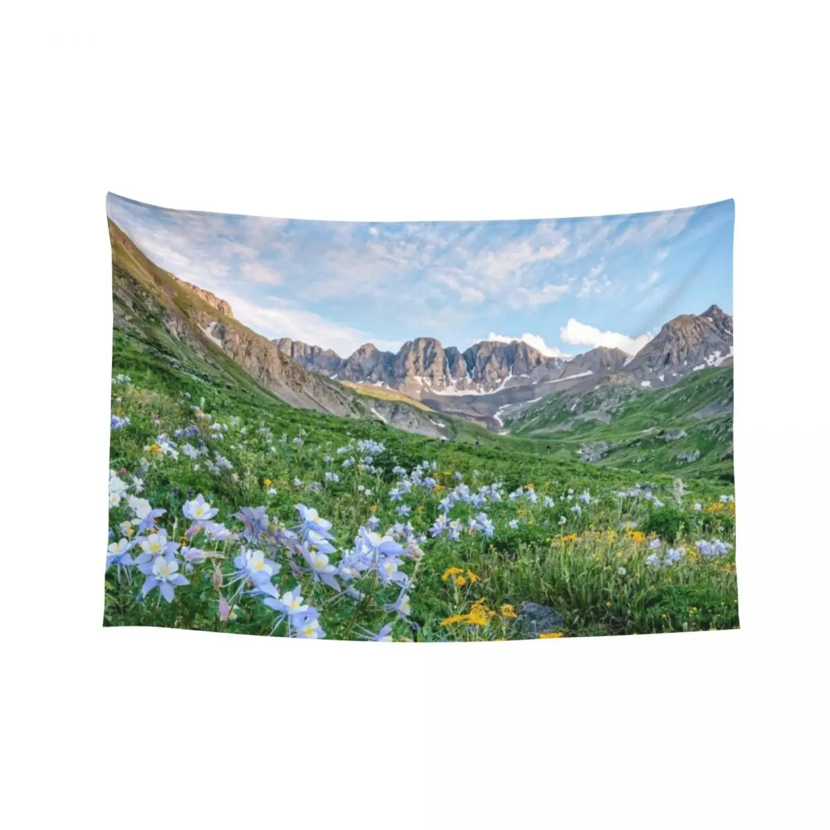 

American Basin Summer Wildflowers Colorado Mountains Tapestry Kawaii Room Decor Korean Room Decor Funny Tapestry