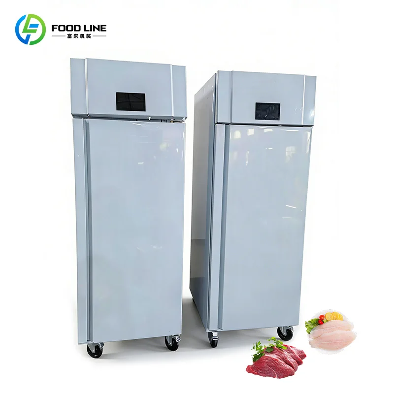 

Thawing Cabinet Heavy Duty Thawing Equipment Fast Defrost Cabinet Food Safe Thawing Cabinet