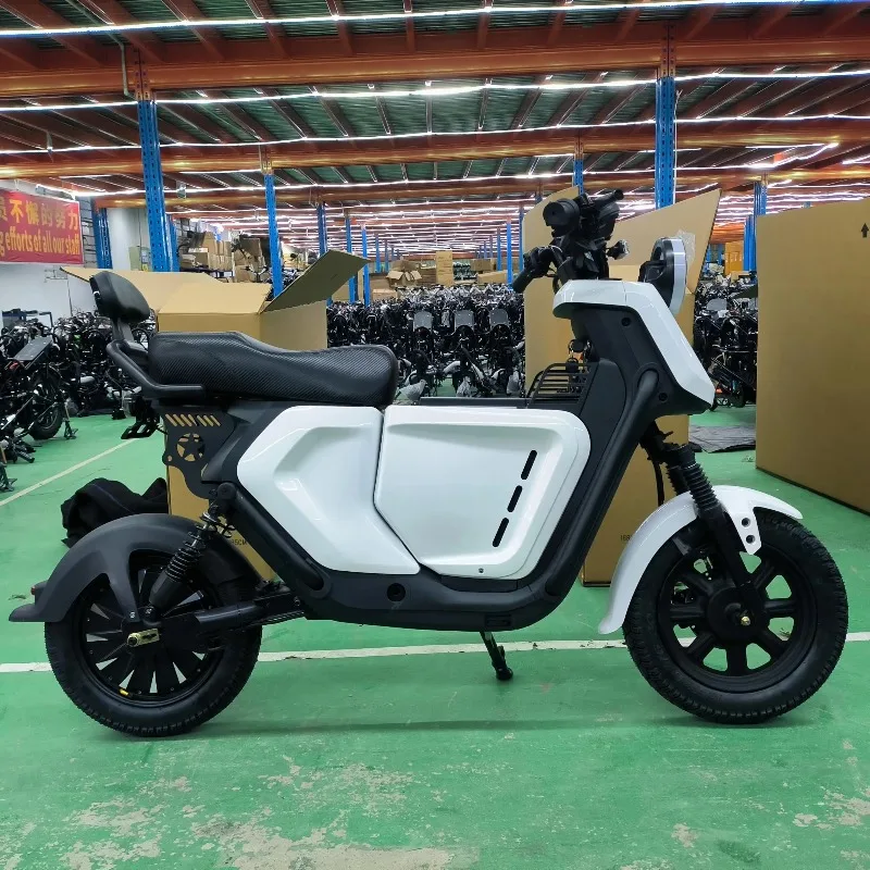XDS Electric Motorcycle Luyuan Factory Deliver High Speed Electric Motorcycles Scooter 48v 60v 16inch Long Range Electric City B