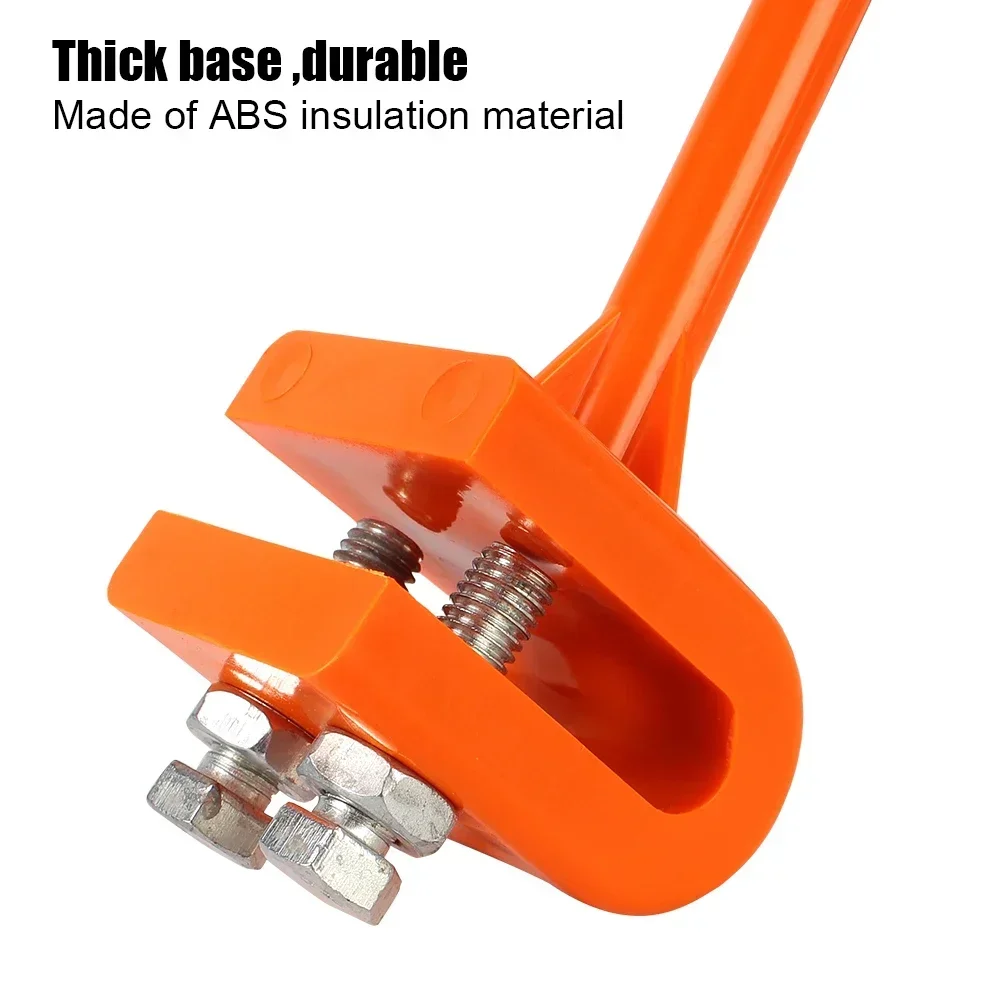 Thumbnail 4 - #26 New Ant Farms Arrivals