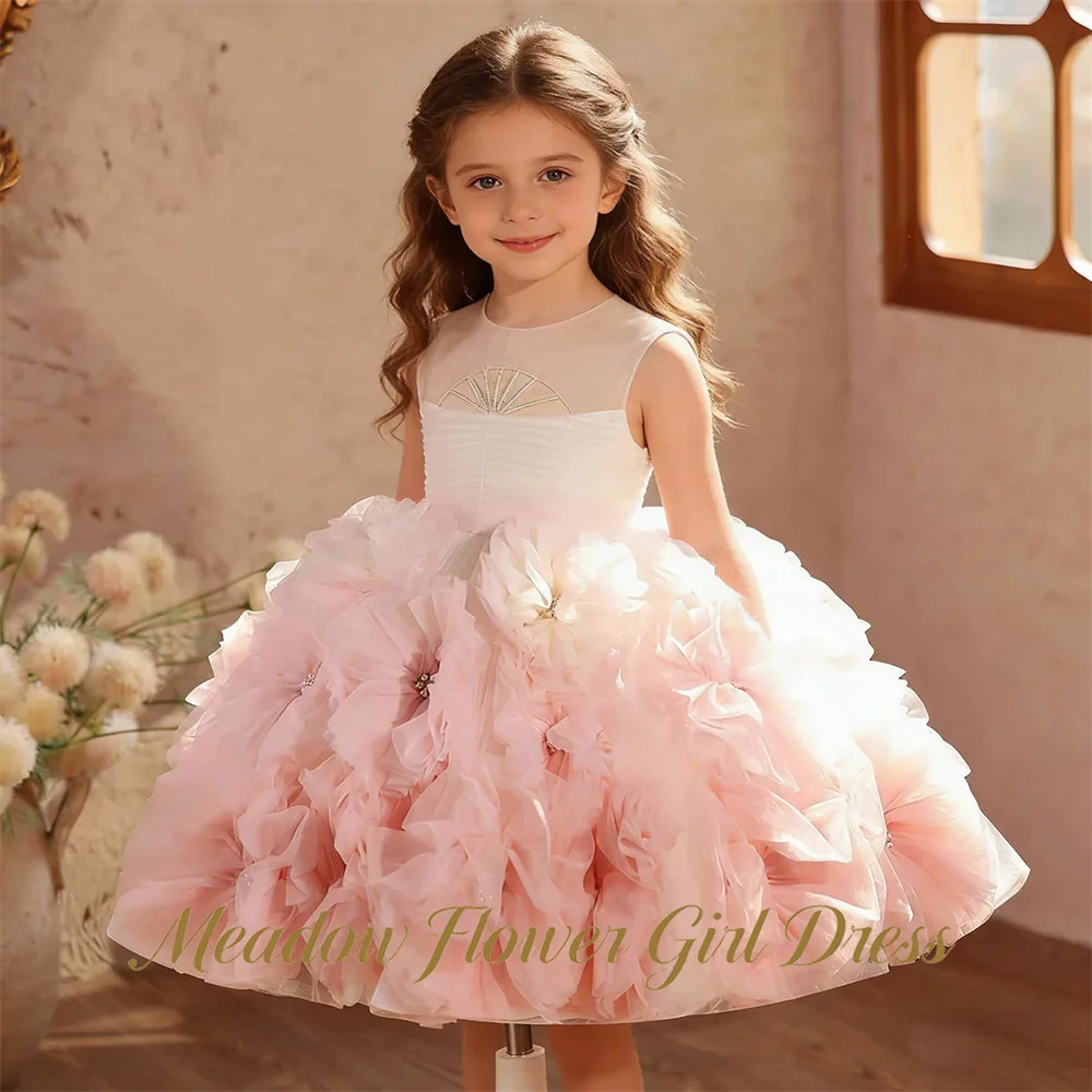 Meadow Ombre Blush Pink Round Neck Flower Girl Dress Sleeveless 3D Flower Kids Birthday Party Dress    Tutu Fluffy Prom Gown