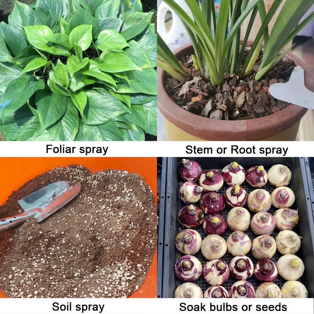 Trichoderma Harzianum-hongos microscópicos para el suelo, fertilizante microbio versátil, protege las plantas para el jardín, 50g