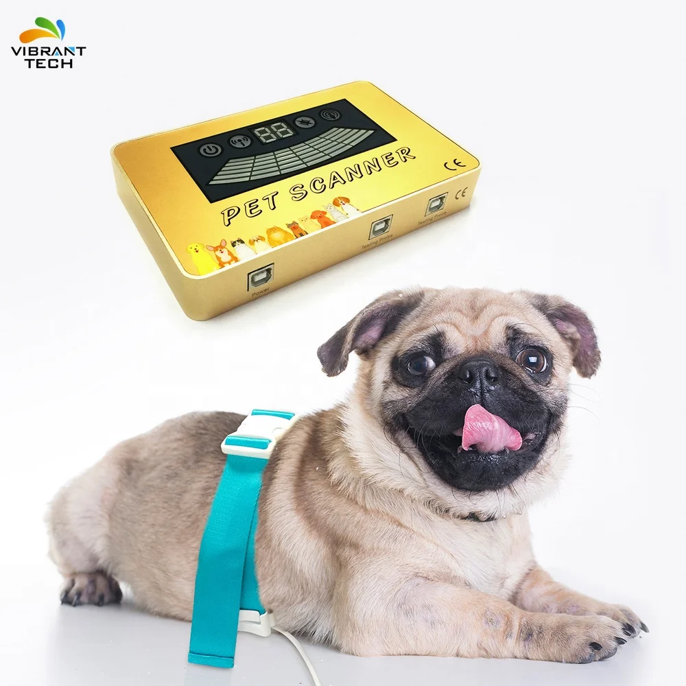 Bio  health analyzer  for Pet review organism electric analyzer  magnetic analysis