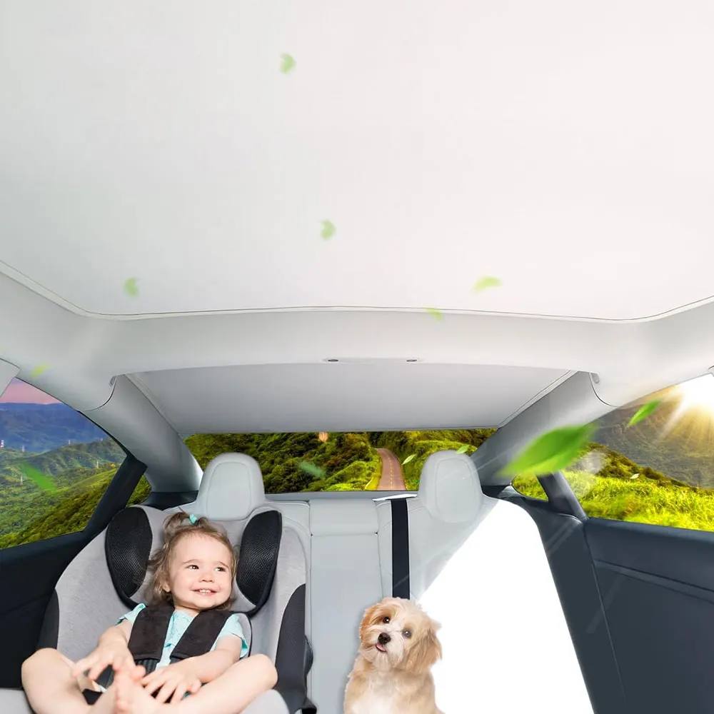 Sonnenschutz für Tesla Model 3 Schiebedach Highland 2025 Model Y 2020-25 – Sonnenschutz aus Eistuch mit Schnallen für Glasdach vorne und hinten, Zubehör – Detail 16