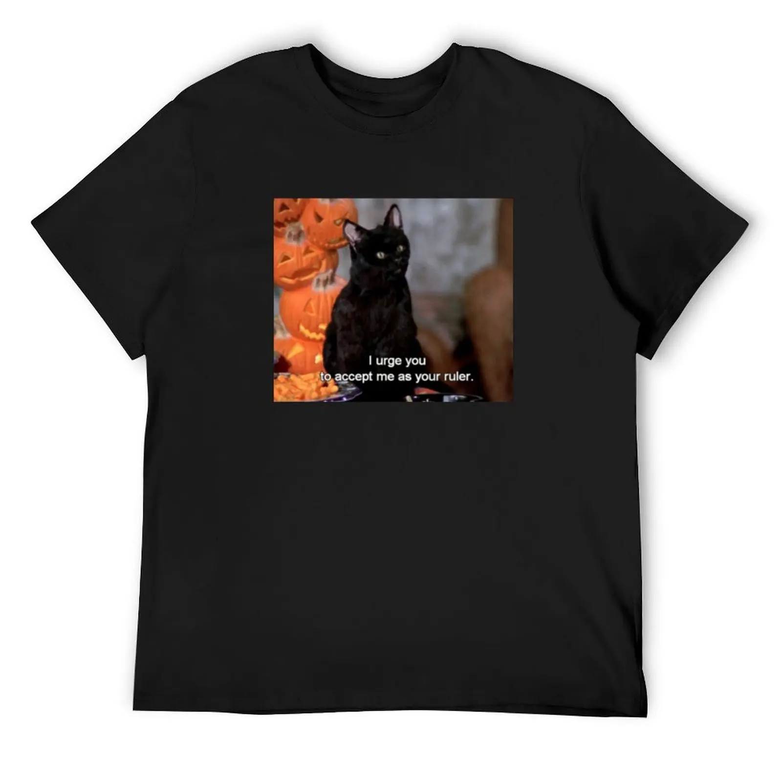 

Футболка Salem Accept Me As Your Ruler, футболка с аниме, мужская футболка, мужская футболка 100, ℅ хлопок
