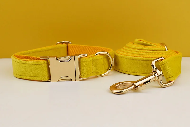 Gelbes Samt-Hundehalsband und Leinen-Set für kleine, mittelgroße und große Hunde, individuell graviertes Namensschild, Heimtierbedarf, Hundeleine, Velvet04 – Detail 4