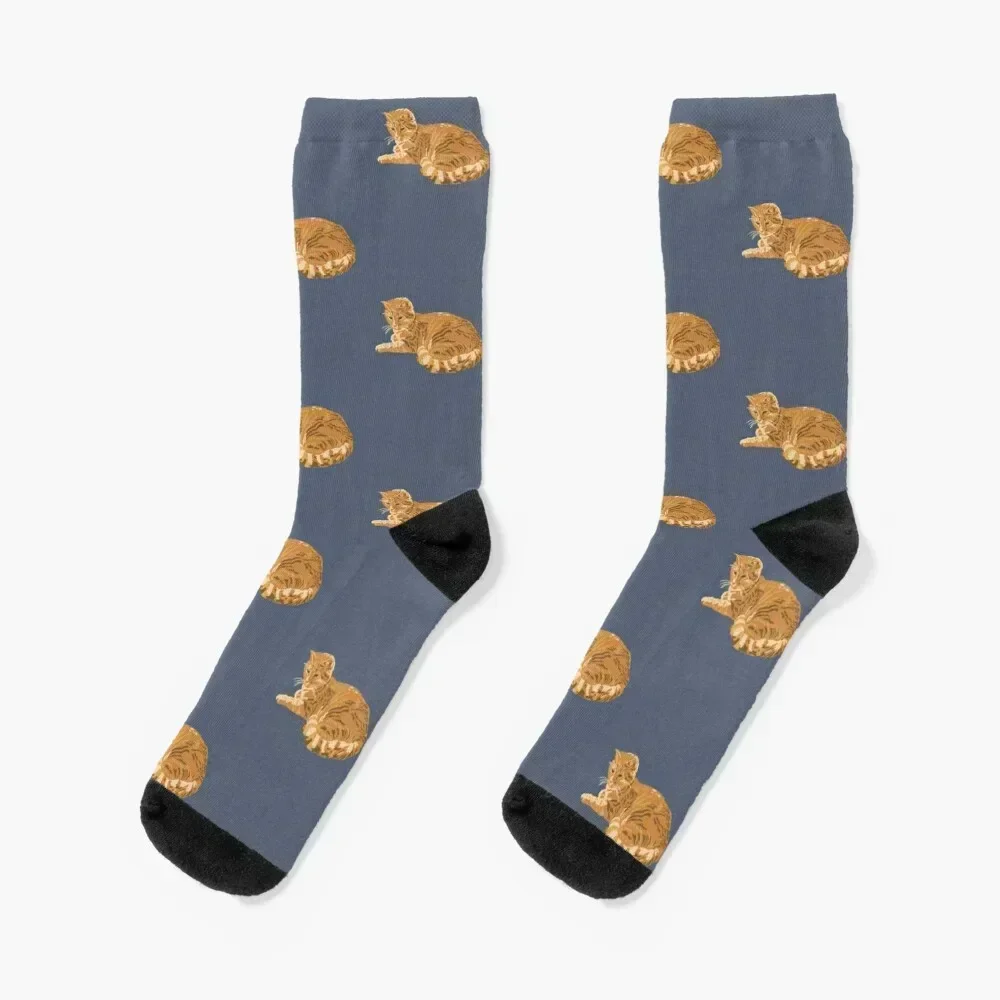 

red cat Socks set funny gift Hiking boots golf Men's Socks Women's