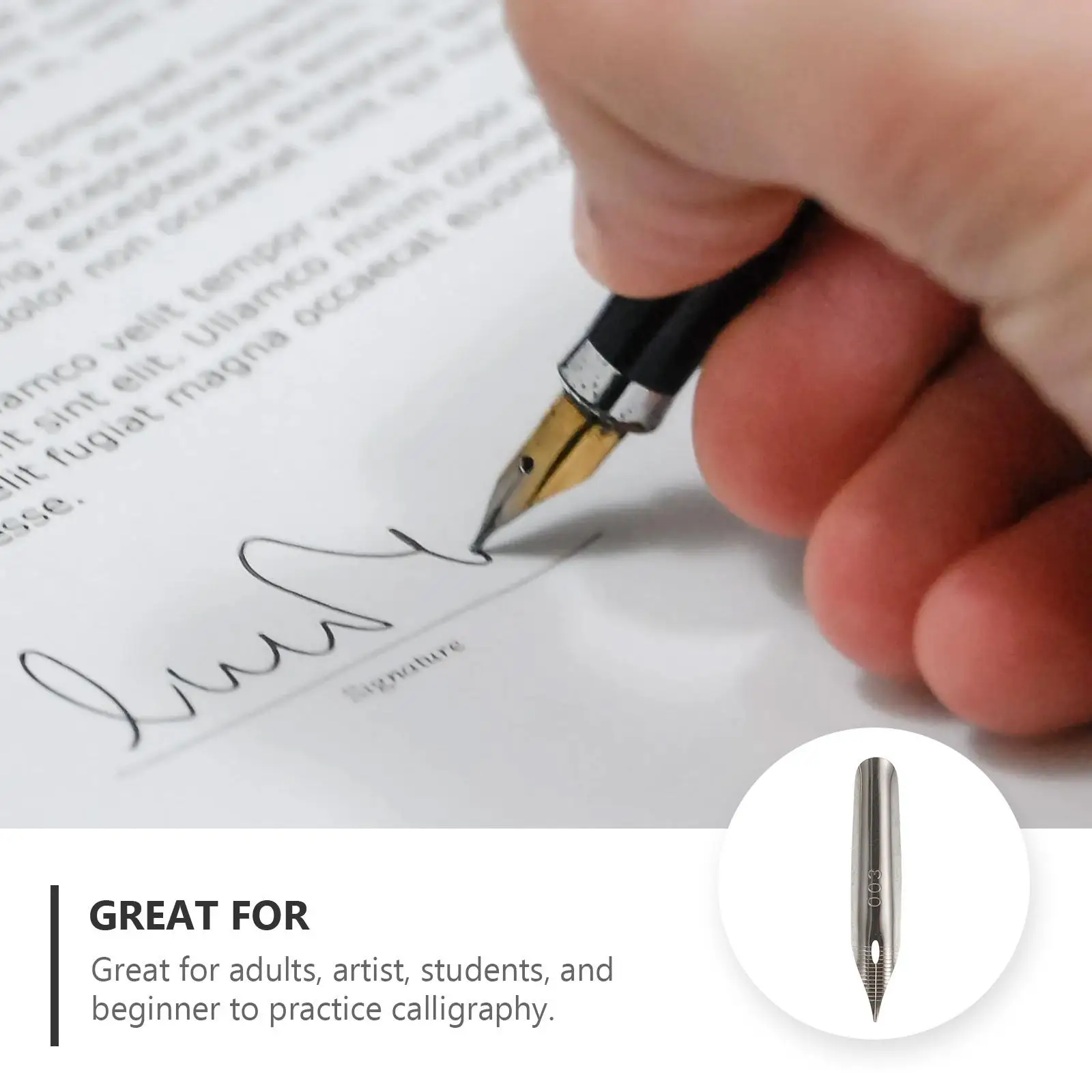 20 Pcs Stainless Steel Pen Nibs Calligraphy Accessories Writing Tools Lettering Practice Universal For Pens Signature Pen