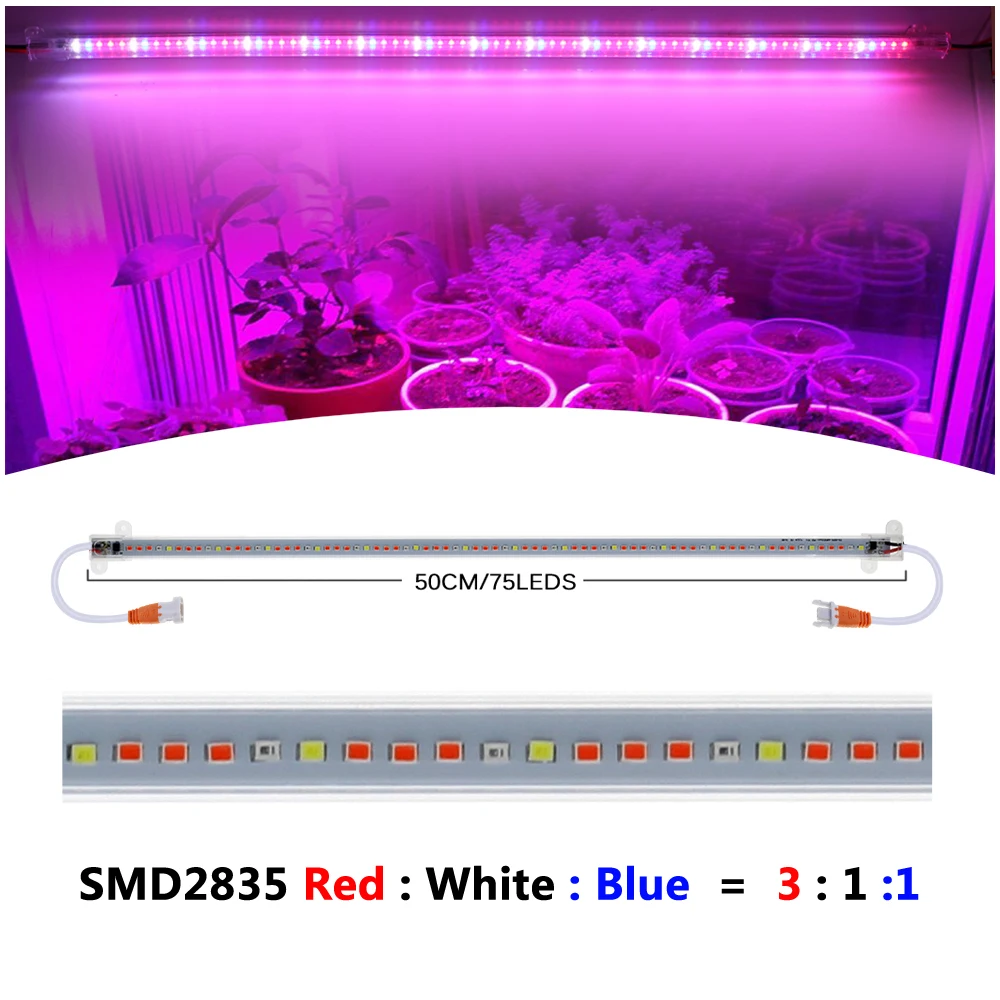 red-white-blue
