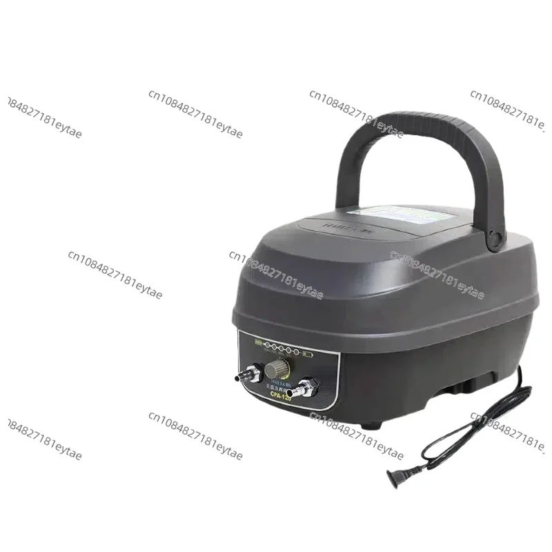 مضخة أكسجين مزدوجة الأغراض CP60 AC وDC لشحن بركة المأكولات البحرية Haili CPA-100/120 #1