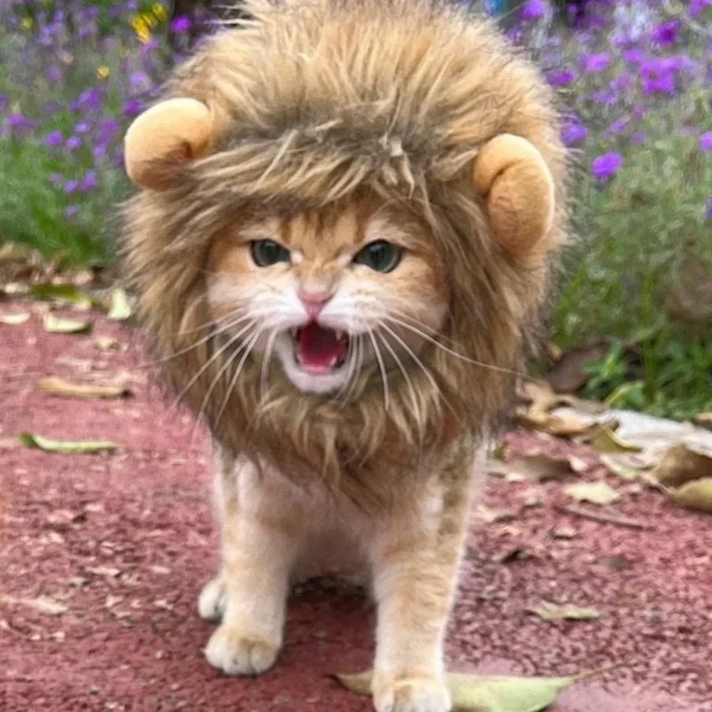 Peluca de gato de Melena De León para mascotas, disfraz de perro pequeño, gorro de Peluca de Melena De León para perros, disfraz de lujo, juguete de