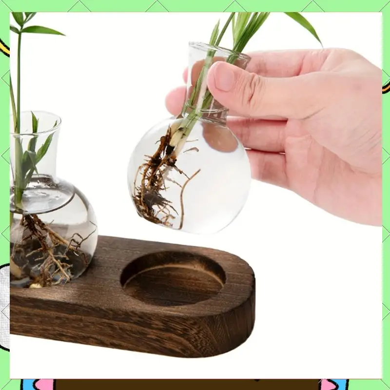

Plant Terrarium Glass Vase Modern Transparent With Wooden Tray, Indoor Desktop Decor-BAAQ