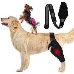 Dog Elbow Brace Protector Pet Leg Fracture Protective Gear Pet Front And Rear Leg Single Support Dog Knee Pads