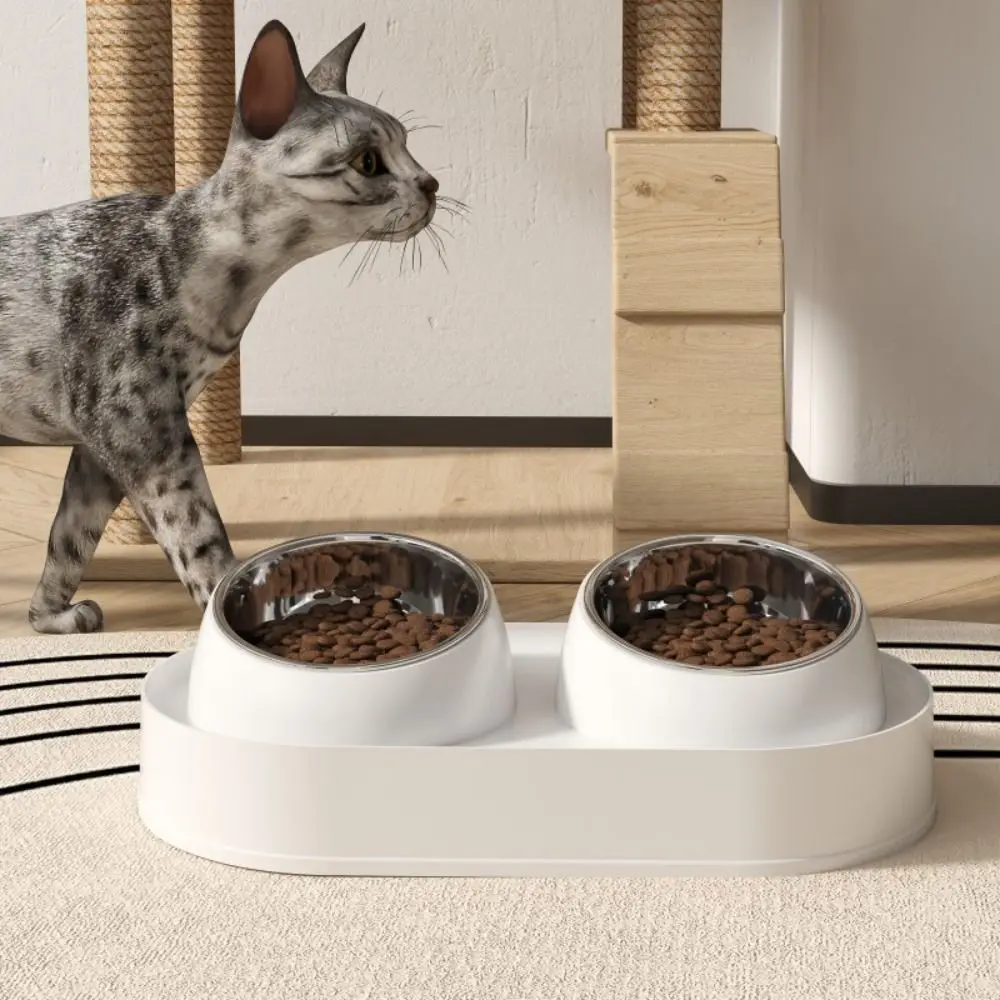 

Slanted Mouth Pet Feeding Double Bowls Portable Anti-Slip Cat Feeder Dispenser Cute Large Capacity Pet Drinking Feeder