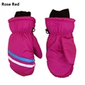 rose red