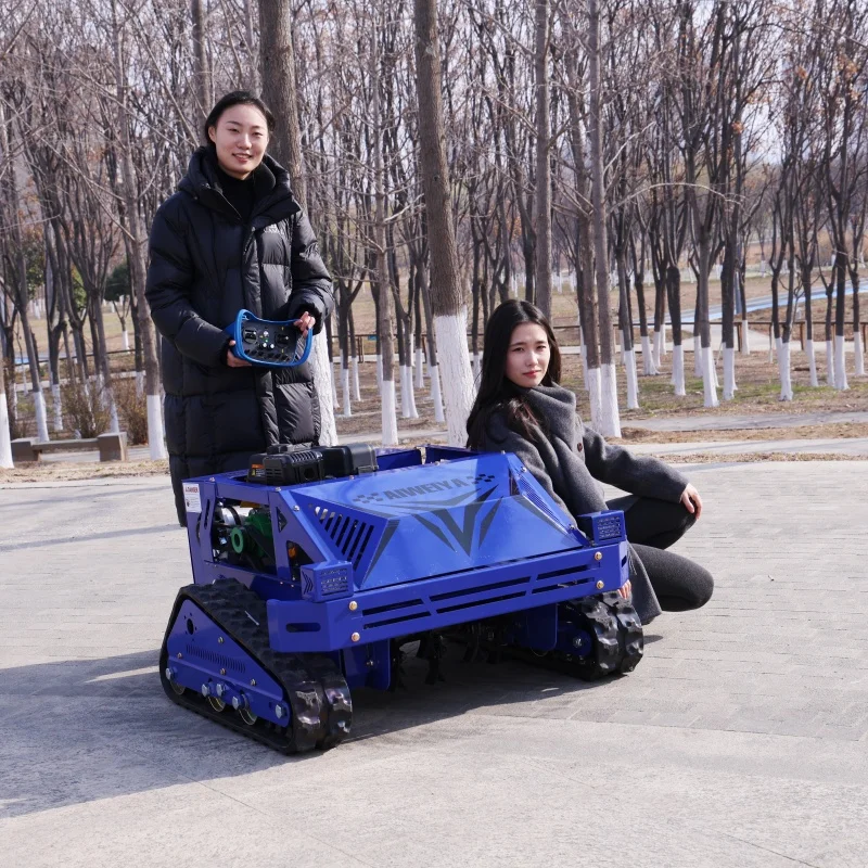 

Customized Big Power Diesel Engine Small Robot Grass Cutter Remote Control Crawler Lawn Mower Flail Mower