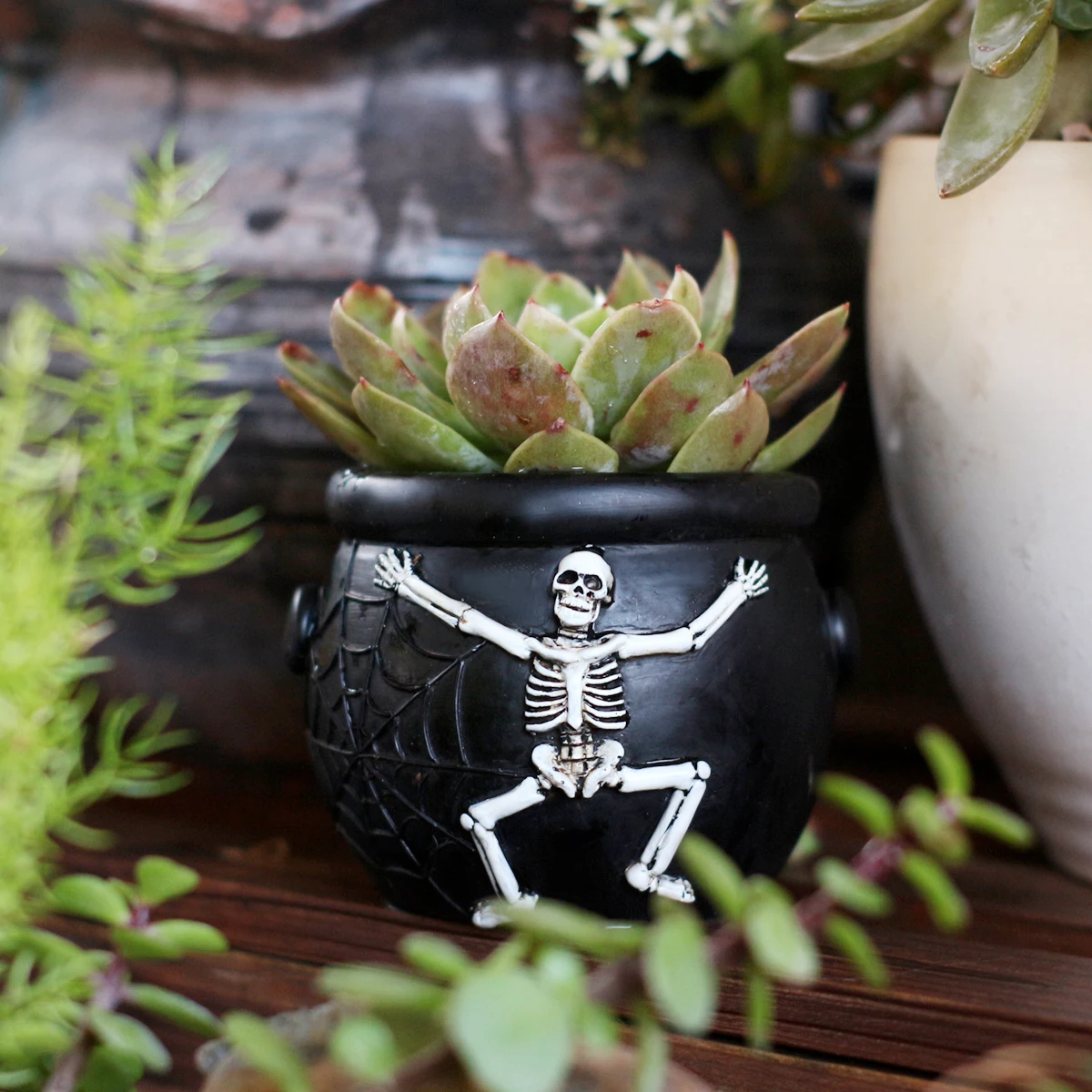 Embossed Skull Planter, 3.42-Inch Resin Skull Succulent Pot with Drainage Hole, Gothic Halloween Garden Decor