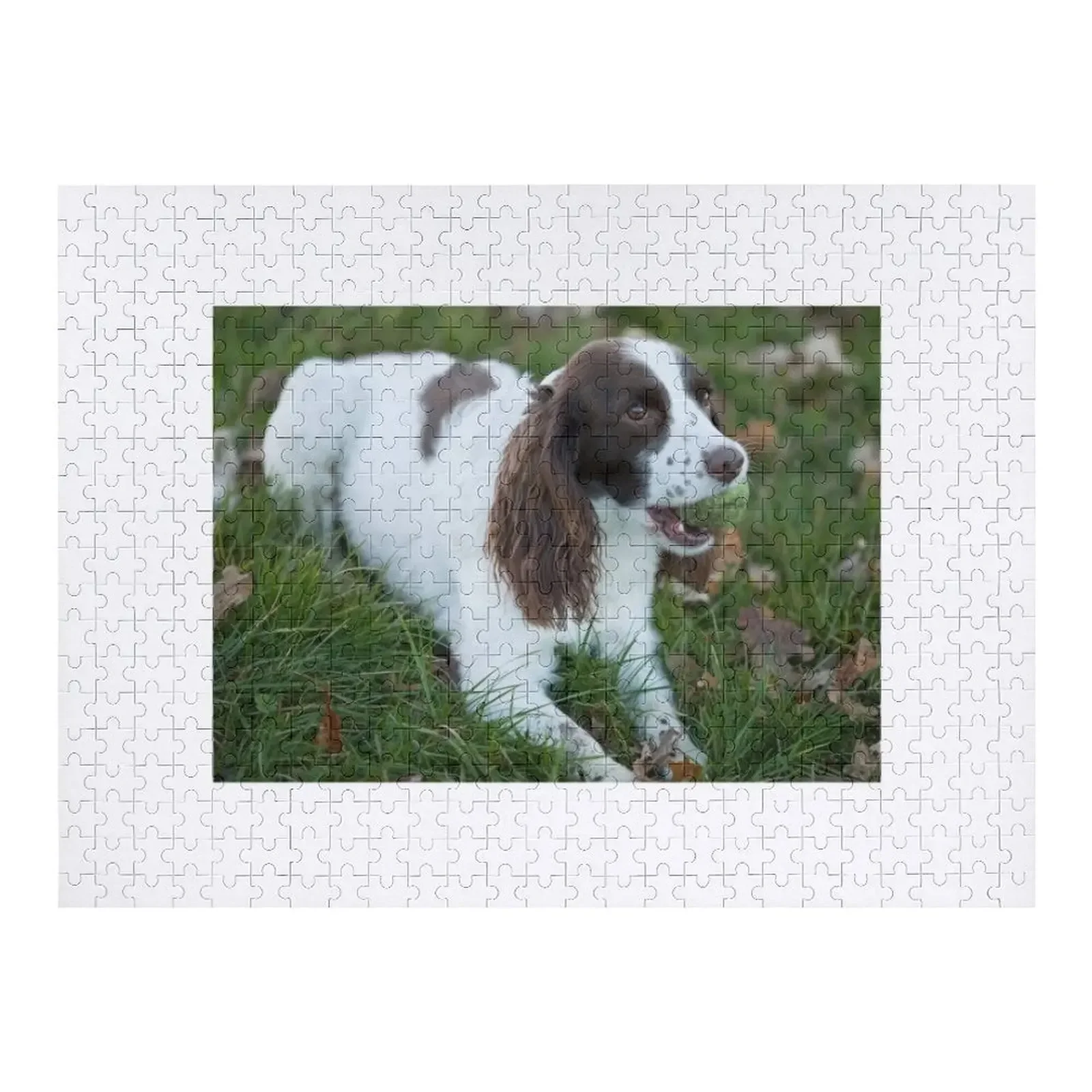 

Пазл Спрингер-спаниель 11, персонализированное имя, деревянная игрушка, произведения искусства-пазлов