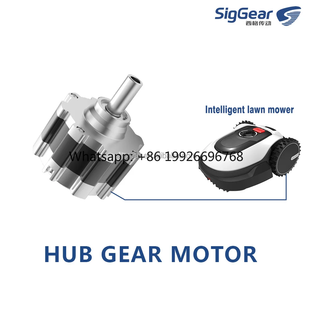 24V 36V 48V Hub Gear Motor for Lawn Mower Robot Snow Blower Pool Cleaner AGV High Torque Wheel Drive Motor
