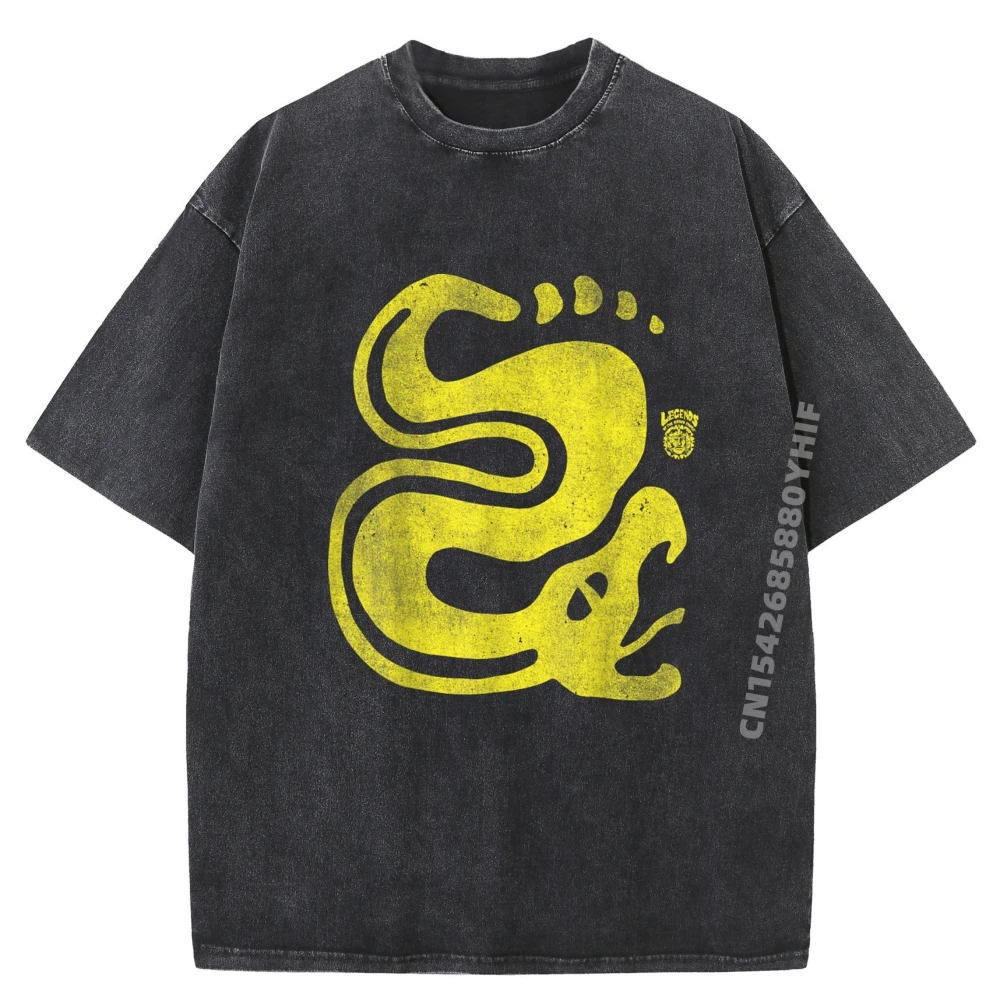 

Новейшая футболка с принтом, футболки Silver Snake Legends Of The Hidden Temple, мужские топы и футболки, потертые футболки в стиле ретро