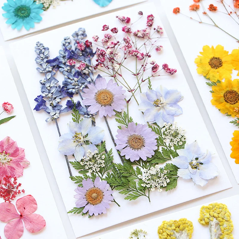 1 scatola naturale vero fiore secco piante essiccate artigianato fai da te goffratura materiali accessori per aromaterapia che fanno la decorazione domestica calda