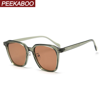 Peekaboo korean style square frame sunglasses for men retro unisex TR90 polarized sun glasses for women brown green female
