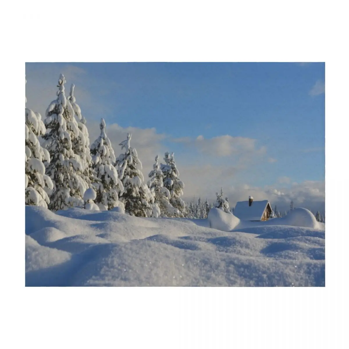 

Snow Covered Trees Throw Blanket Sofas Decoratives Winter beds Soft Beds Blankets