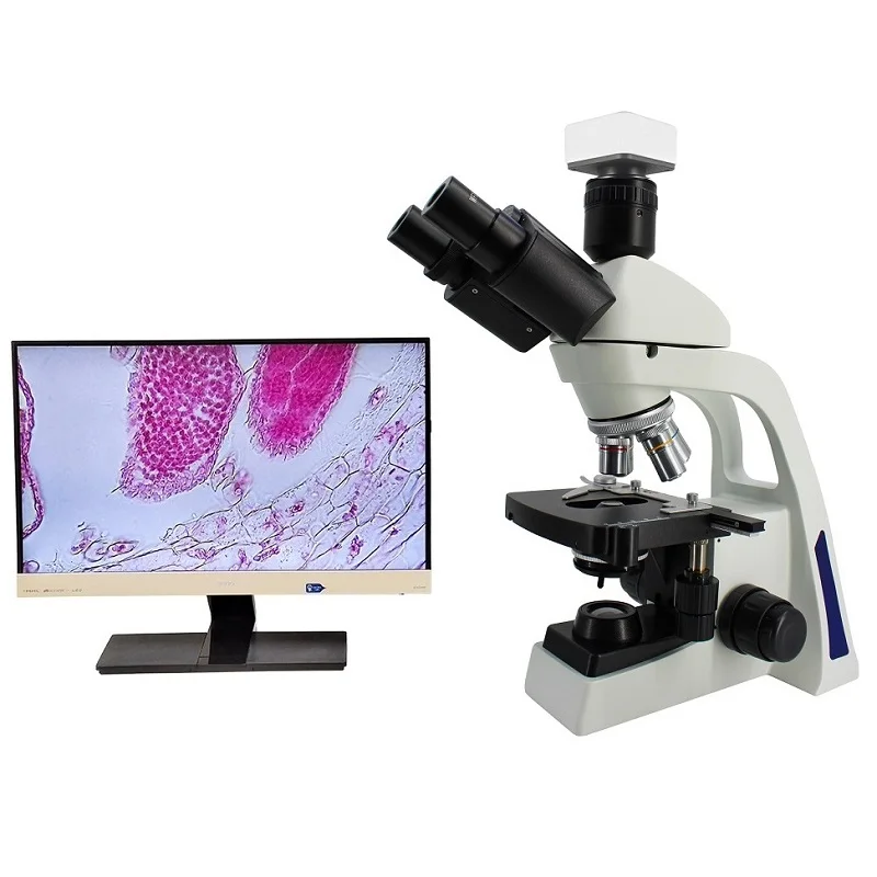 

Boshida BD-SW1000 Serial 40X-1000X Biological Microscope With 100X Oil Immersion Objective For School Teaching Medical Research