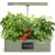 Compact Hydroponics Growing System Premium Kitchen Countertop Kit — Dimmable 24W Grow Light Plus Timer