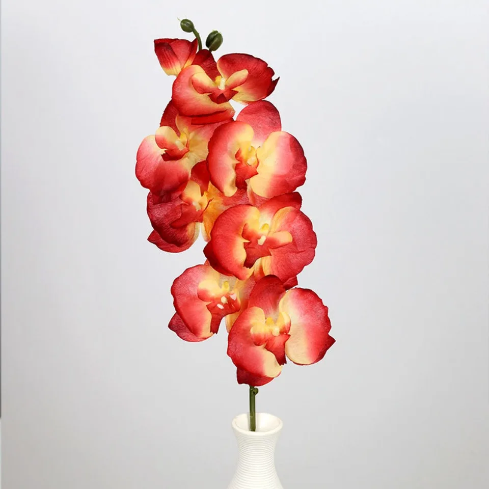8 Köpfe große künstliche Seide Zweig Orchidee Phalaenopsis schwarz Burgund Hochzeit Home Decor Blumen Topf Orchidee Großhandel – Detail 8