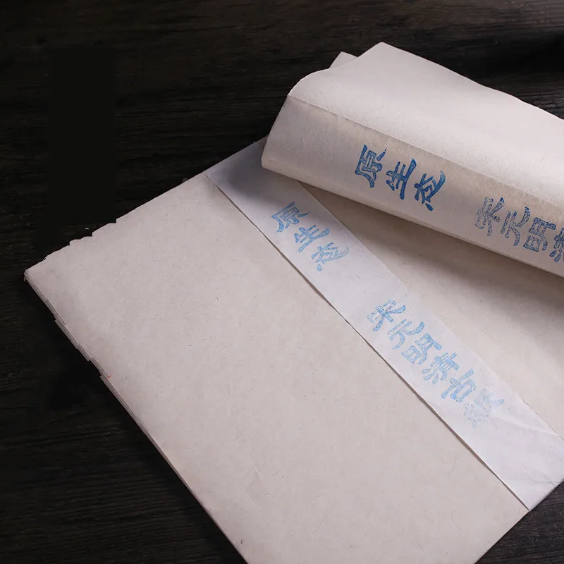Manual Xuan Paper Half-Ripe Rice Paper Chinese Calligraphy Brush Pen Works Paper Flower Bird Landscape Freeehand Painting Papier