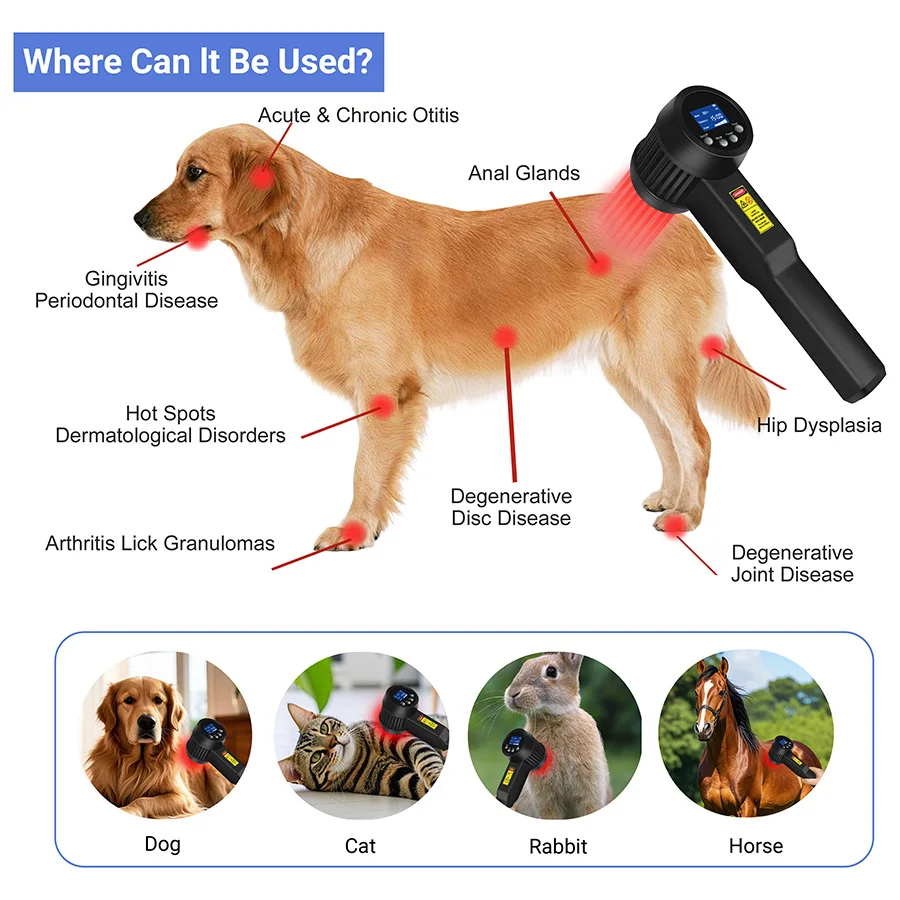 2026 Portable Class Iv Cold Laser for Dogs Red Light Therapy Medical Grade Device 3-8W 650nm 808nm for Anti-inflammation Pain Re