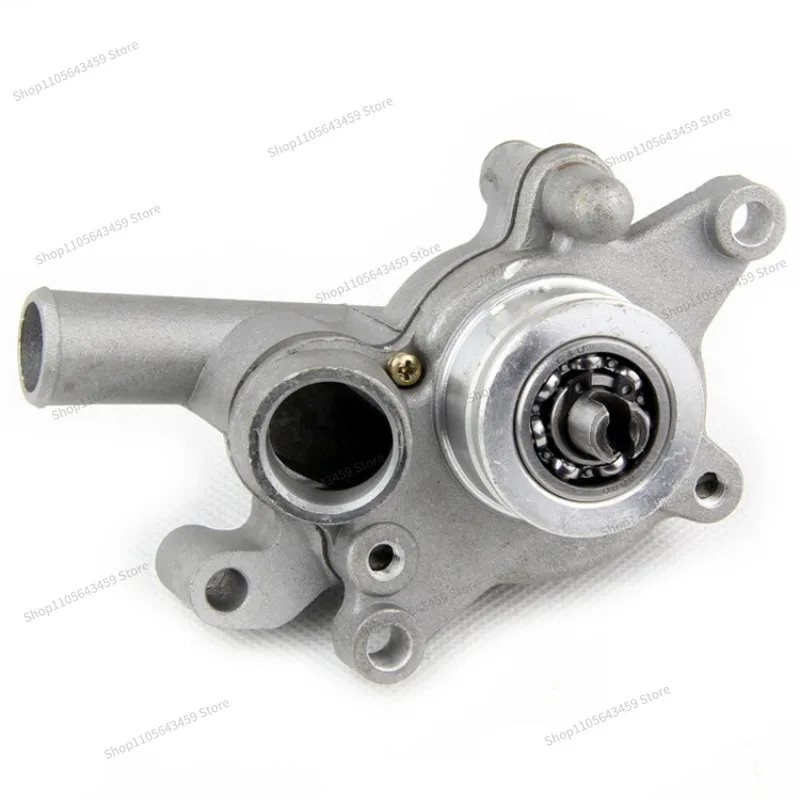 For 250 water pump, Jinlang 250 LH250 ATV 300 accessories ATV300 water pump assembly