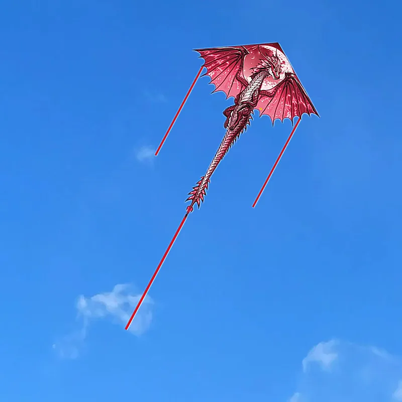 Frete grátis pterosaur kite dragão voando profissional kite peonzas con cuerda linha de pipa kite drachen jogos ao ar livre hoka