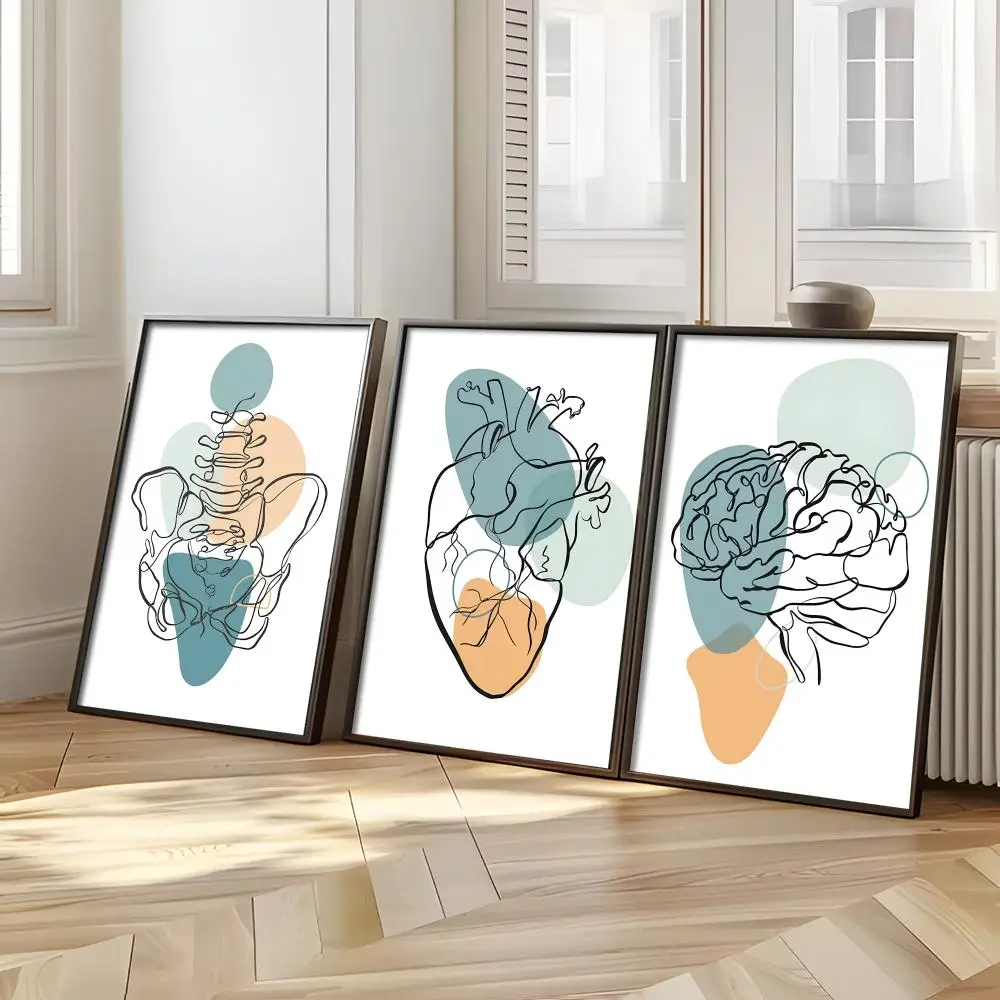 ملصق على شكل قلب للتشريح الطبي ملصق مثالي ذاتي اللصق مصمم لمساحات تناول الطعام في المكاتب المنزلية #4