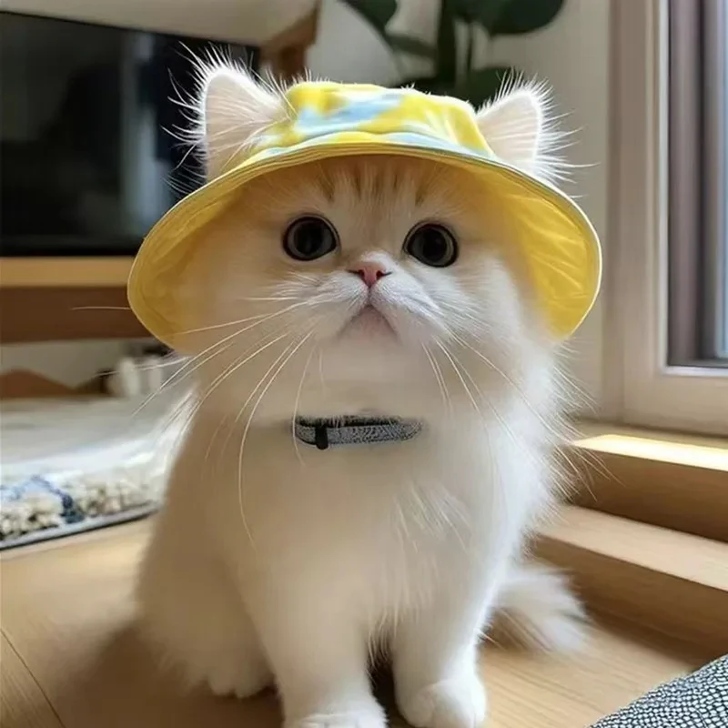 Chapéu de Sol para Gatos de Verão com Aberturas para as Orelhas - Bonito Boné de Pescador para Gatinhos para Proteção UV, Boné Respirável para Gatos para Uso Externo