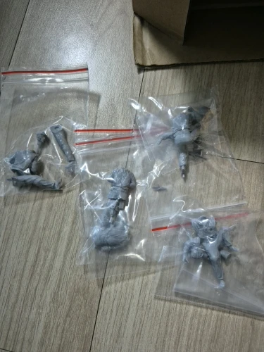 Buyer photo of this resin kit
