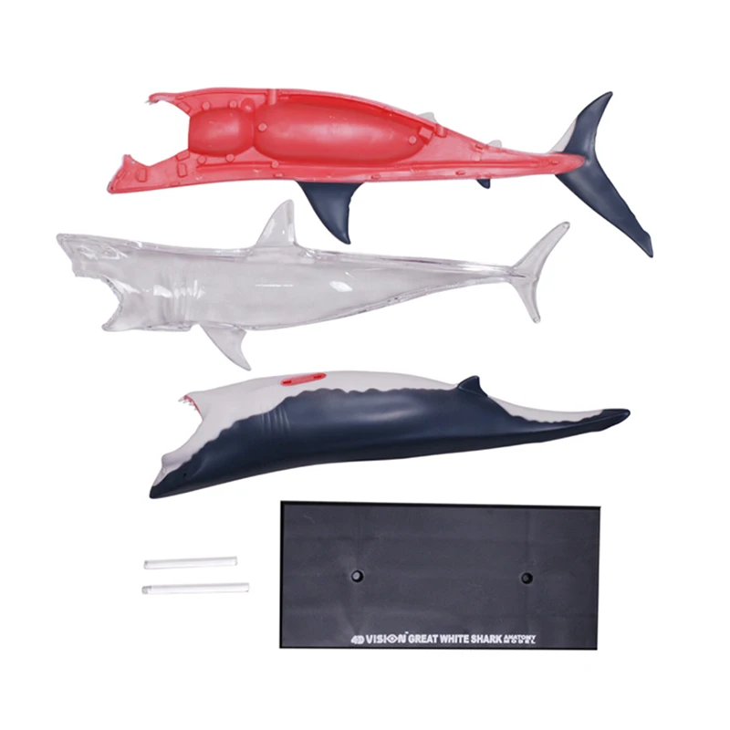 4D Shark Intelligence Assembling Toy Animal Organ Anatomy Model Medical Teaching DIY Popular Science Appliances Tools