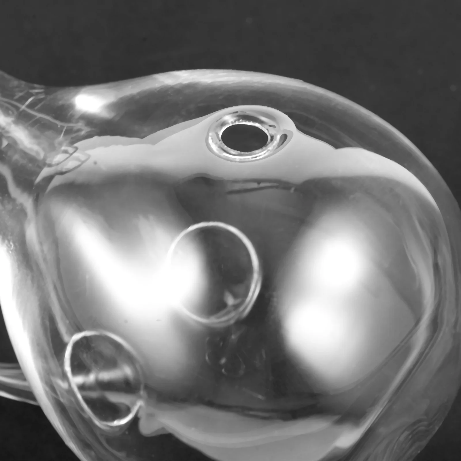 

Glass Whale Shape Vase Elegant Flower Holder Decorative Desktop Vase Unique Simple Beauty Home Gift Flower Holder