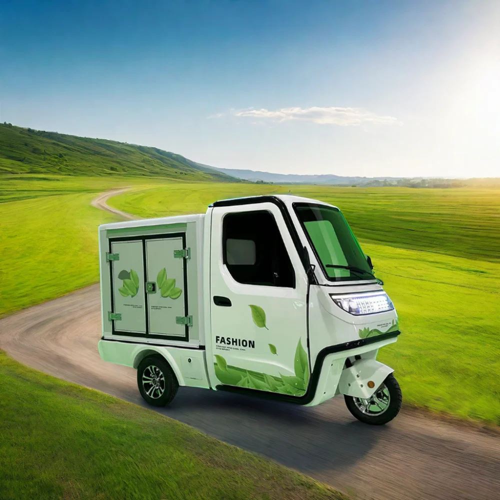 DOT EEC Certified 3-Wheel Electric Motorcycle Open-Body Type with Drive Cabin Enclosed Cargo Tricycle for Adults