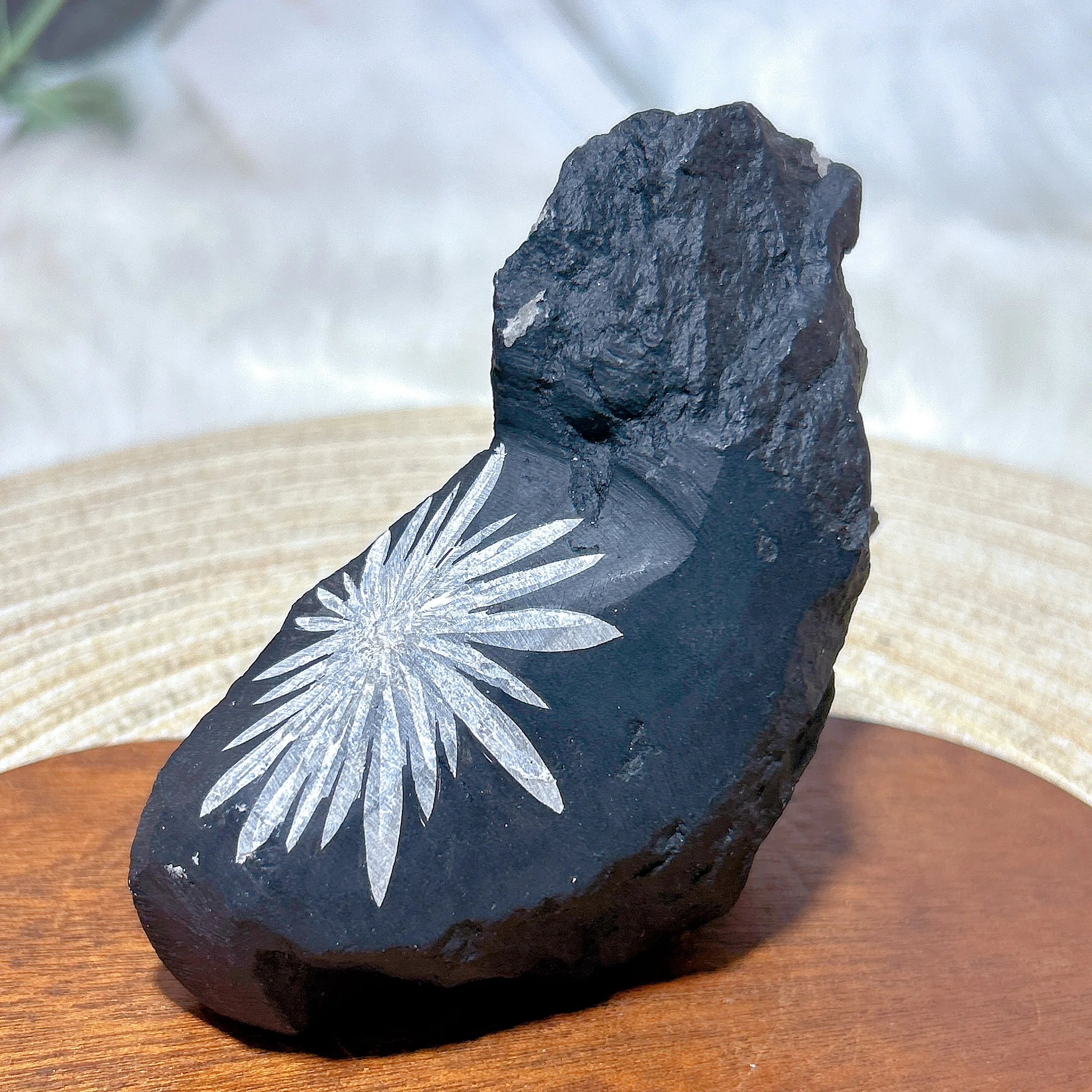 Natural Crystal Chrysanthemum Freeform Raw Stone Specimen Stand Healing Energy Mineral Ore Home