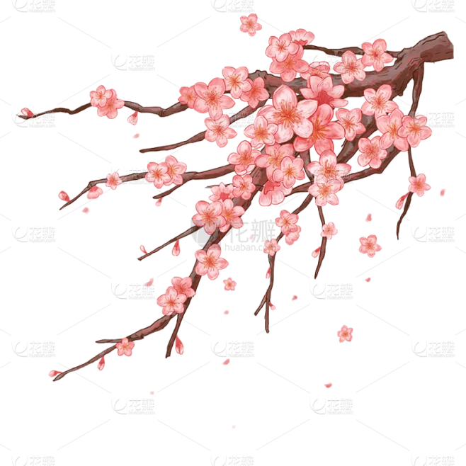 Pare-chocs avant en métal et armure de châssis, protecteur d'essieu pour LOSI LMT 4WD, axe solide Monster Truck RC, pièces de mise à niveau de voiture, accessoires