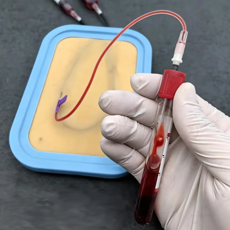 Intravenous Injection Practice Model Infusion Teaching Needle Drawing Blood Blood Practice Blood Vessel Puncture Skin Mold