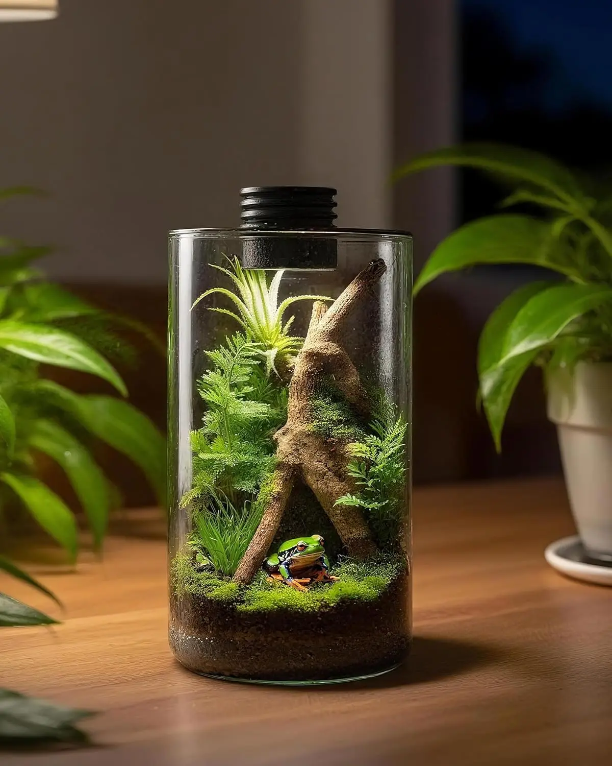 Indoor Glass Terrarium with Grow Light, 9.8" H × 5.9" D, for Succulents, Moss, Mini Gardens, Betta Fish Tanks, Mushroom Cultivation - Plant Growth Lamp for Home Office Decor, Gift for Plant Lovers - view 3